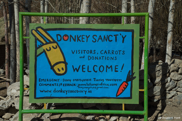 "Even Donkeys Need Help"