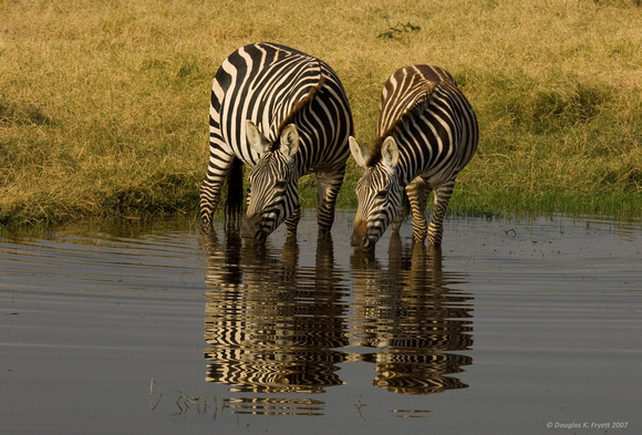 "A Blurred Drink of Water" - Africa 2007